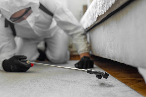 Professional Emergency Pest Control technician working in Mililani Mauka, HI