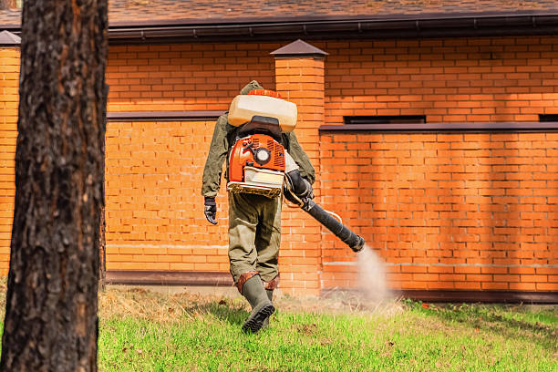 Trusted Cockroach Control service in Mililani Mauka, HI - Nex Pest Control